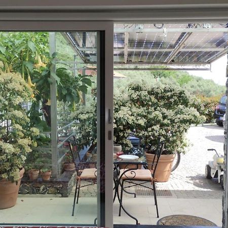 La Casa Negli Ulivi Apartment Chiavari Luaran gambar